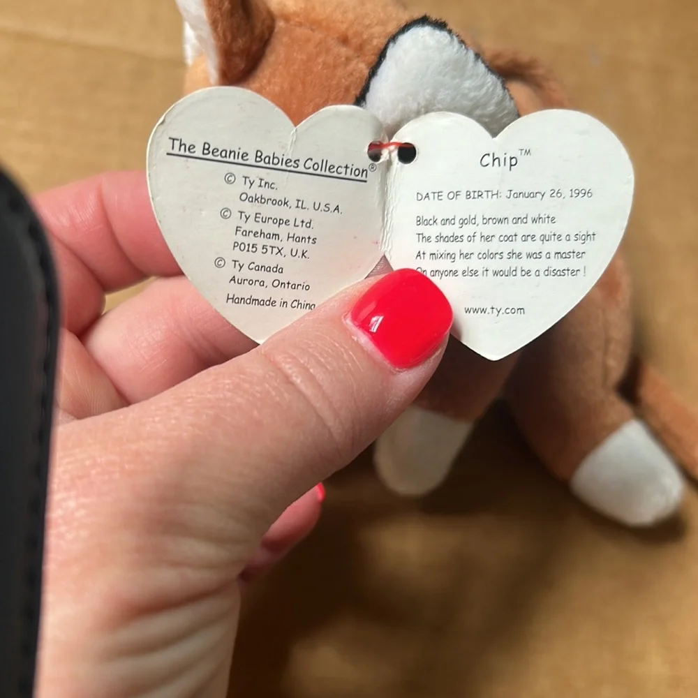 Ty beanie baby. Cat / kitten “Chip” Great condition. Tag still attached. - Picture 3 of 4